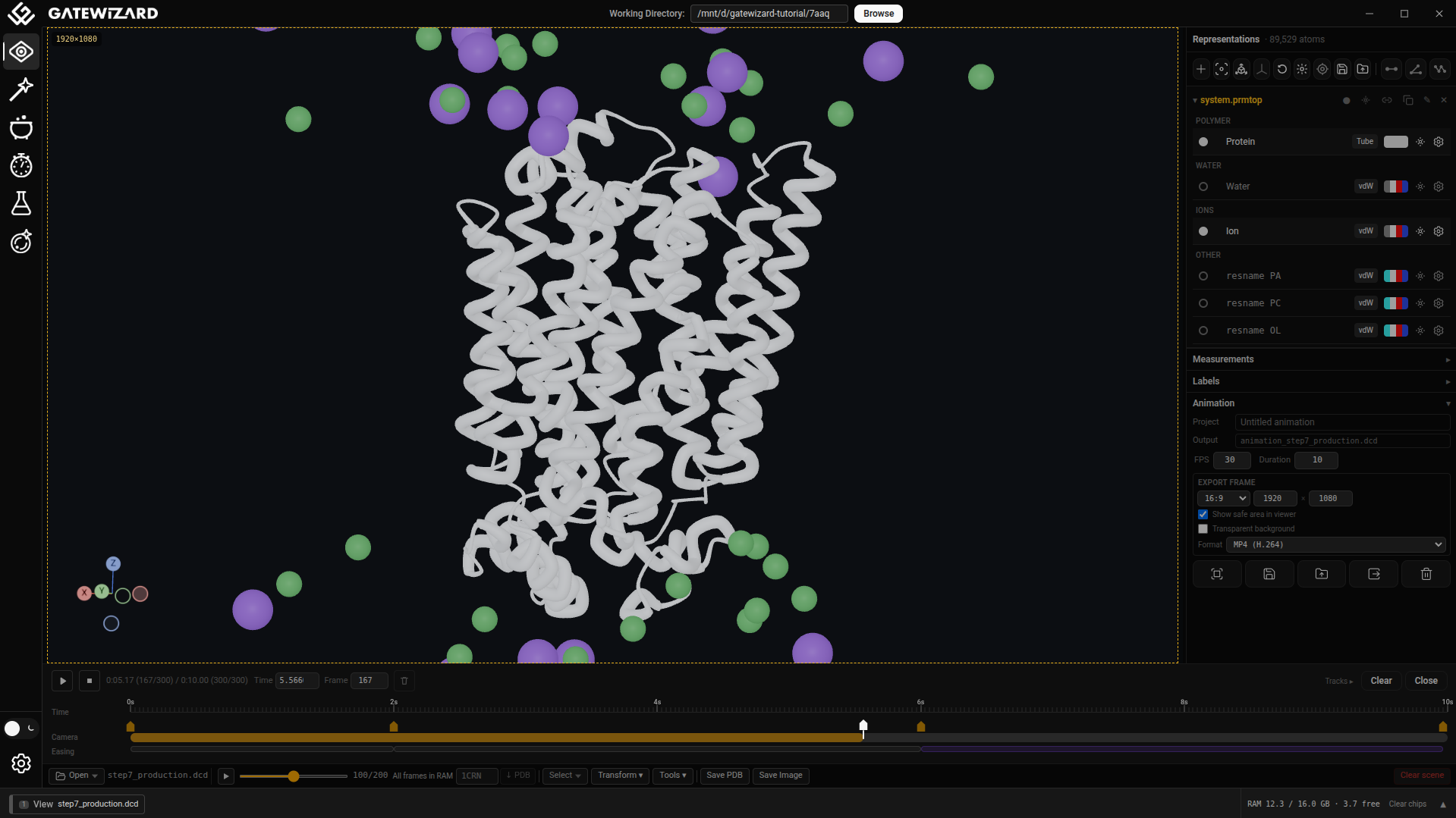 Animation